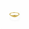 Little Sunny Signet Ring | 18k Gold Fill | Size 5-10