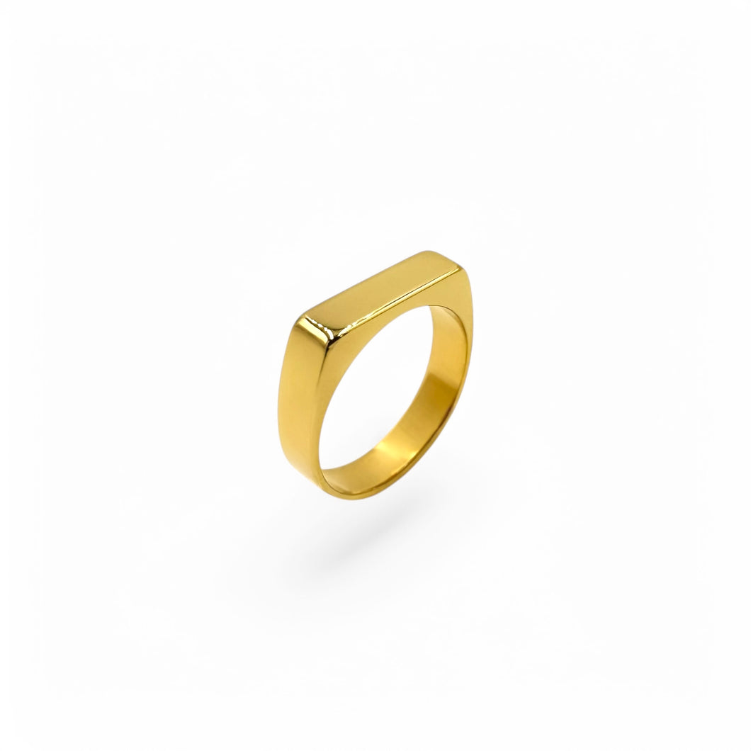 Rectangular Signet Ring | 18k Gold | Size 5-10