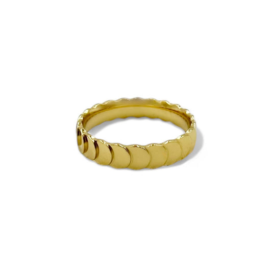Band of Coins Ring | 18k Gold | Size 6-9