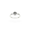 Tree of Life Signet Ring | 925 Sterling Silver | Size 6 - 10
